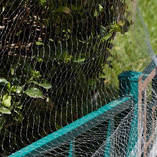 Filet anti oiseaux 10m x 3m