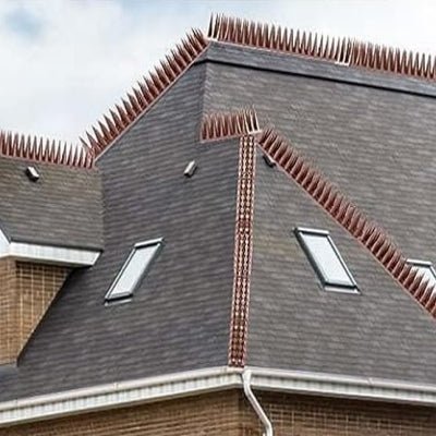 Pic anti pigeon Marron - AltoNuisible