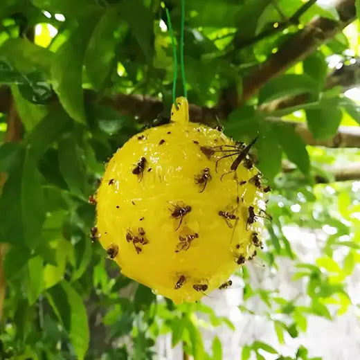 piège à mouches - boule attrape mouche