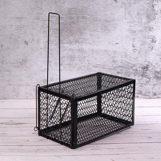 PIEGE A SOURIS : CAGE A SOURIS PIEGE