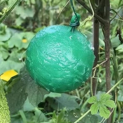 Piège anti mouches - boule verte autocollante