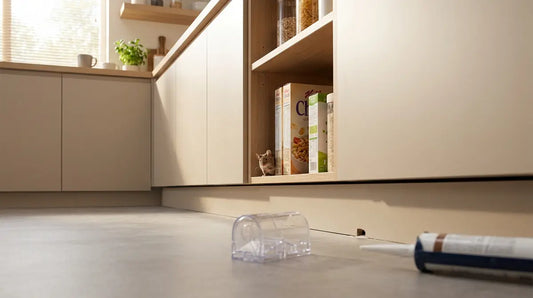 Comment faire partir les souris ?
