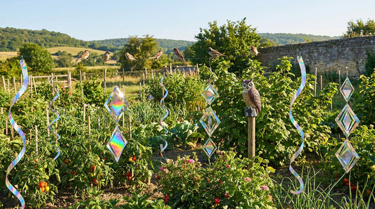 Comment choisir un répulsif oiseaux efficace pour son jardin