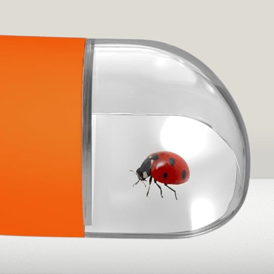 Attrape insecte Orange
