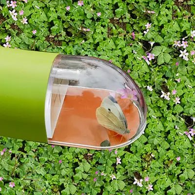 Attrape insecte - AltoScope - Vert
