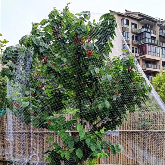 Filet anti oiseaux 3x5m