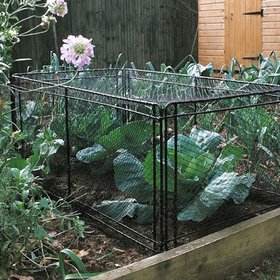 "Filet anti oiseaux efficace pour jardin potager"