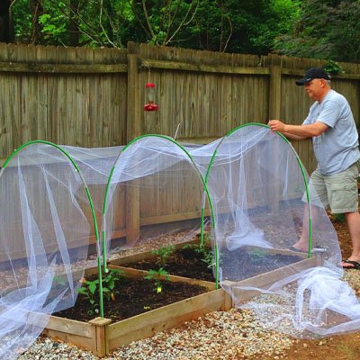 Filet anti oiseaux fraisiers​