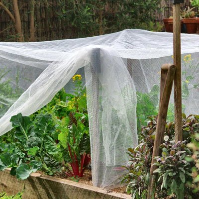 Filet anti oiseaux pour potager​