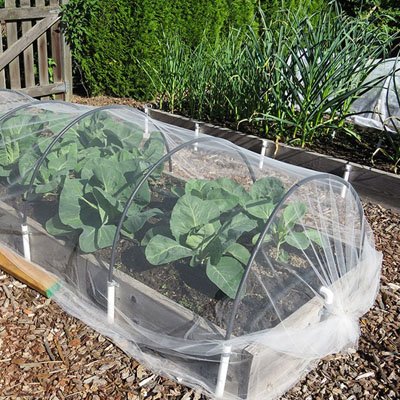 Filet anti oiseaux très petite maille​