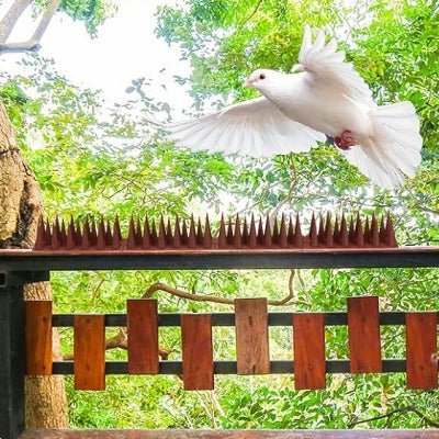 Pics anti pigeons - AltoPigeon - Marron rouge - AltoNuisible