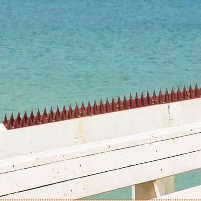 Pics anti pigeons -Marron rouge - AltoNuisible