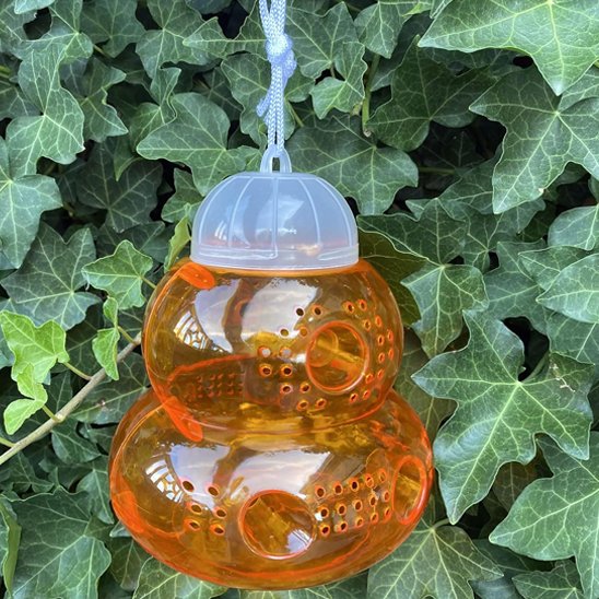 PIEGE A GUEPE A SUSPENDRE REUTILISABLE