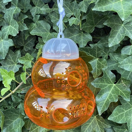 PIEGE A GUEPE A SUSPENDRE REUTILISABLE