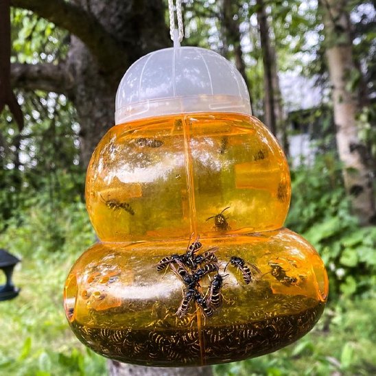 PIEGE A GUEPE ANTI GUEPE PIEGE A GUEPE EFFICACE ANTI GUEPE