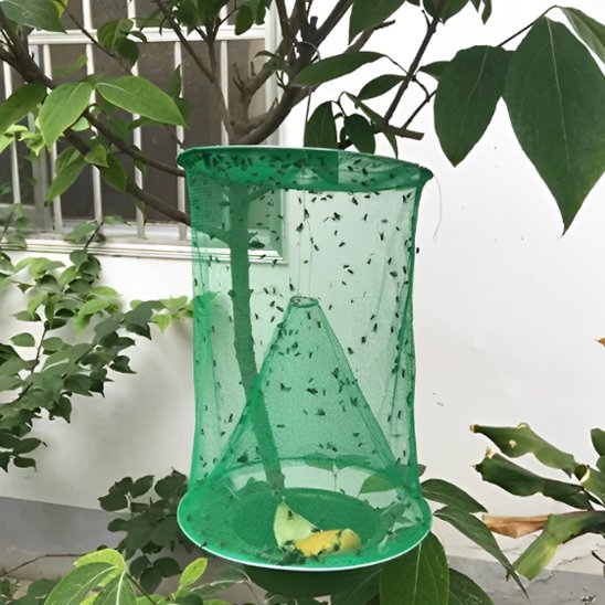 PIEGE A GUEPE EFFICACE