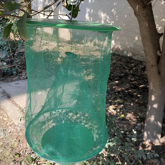 PIEGE A GUEPE FACILE A SUPRENDRE ET REUTILISABLE