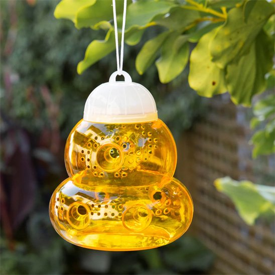 PIEGE A GUEPE FACILE D'ENTRETIEN