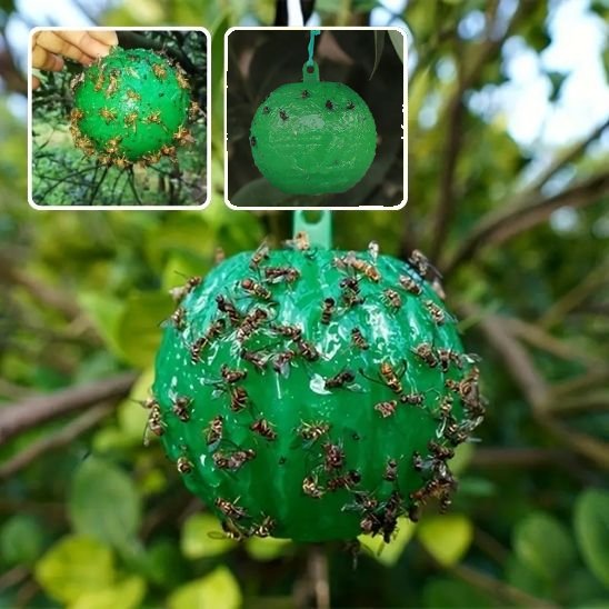 piège à guêpes à accrocher