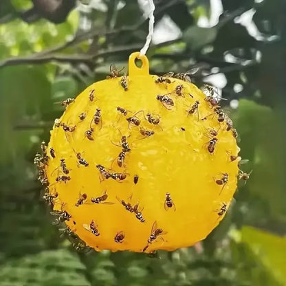 piège à guêpes à suspendre facile et rapide
