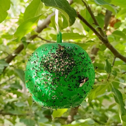 piège à guêpes attractif