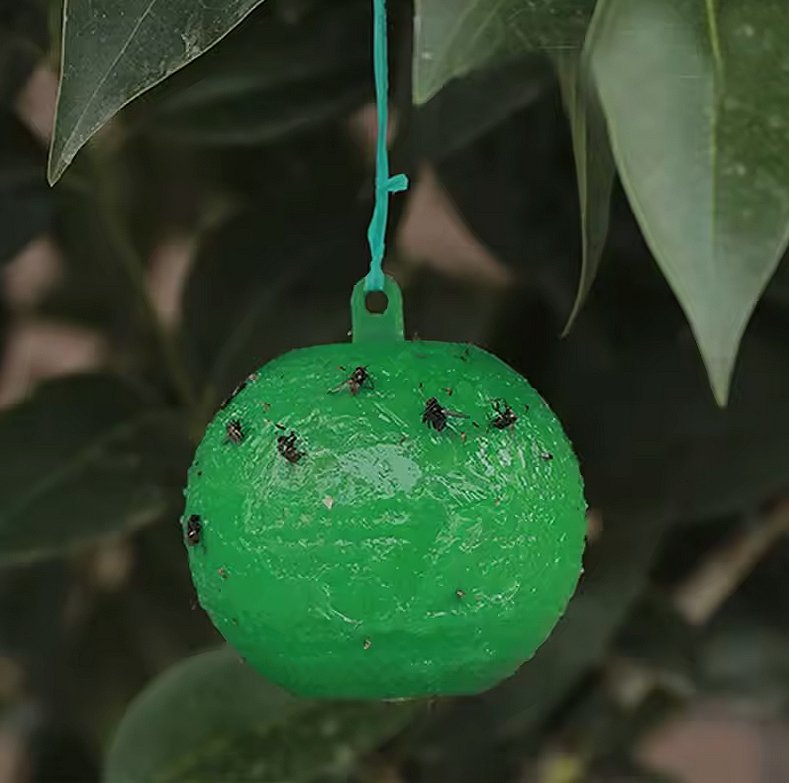 piège à guêpes extérieur