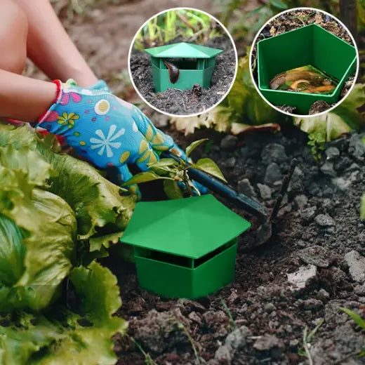 piège à limace AltoLimace vert et efficace