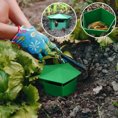 piège à limace AltoLimace vert et efficace