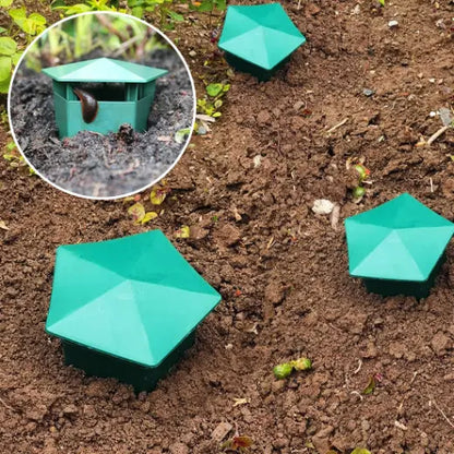 piège à limace AltoLimace simple et efficace