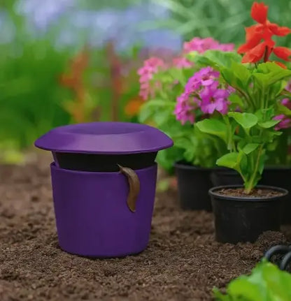 Piège à Limace mauve et rond pour fleurs