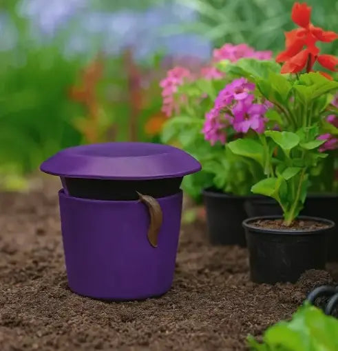 Piège à Limace mauve et rond pour fleurs