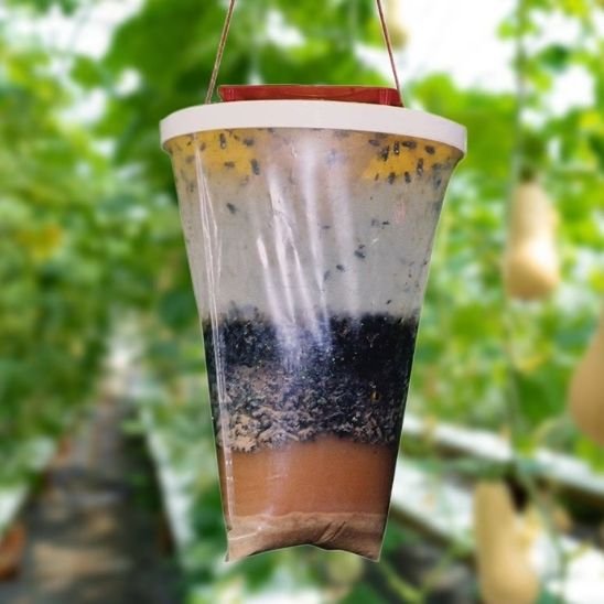 Piège à mouche Altomouche à suspendre