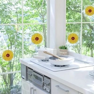 PIEGE A MOUCHE DANS LA MAISON​