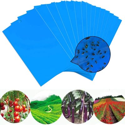 Piège à Mouches - Feuilles bleues autocollantes double face - efficace et simple d'utilisation