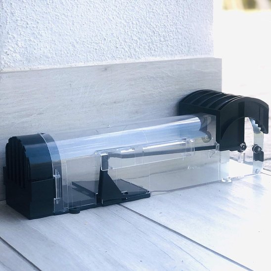 PIEGE A SOURIS ECOLOGIQUE​