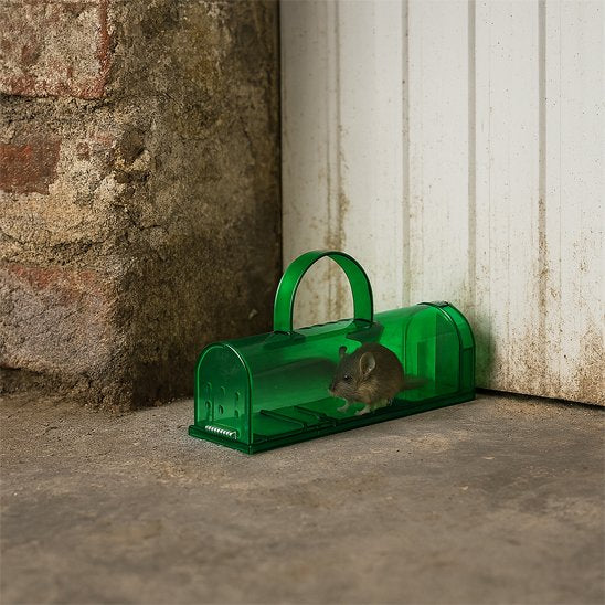 PIEGE A SOURIS EFFICACE​