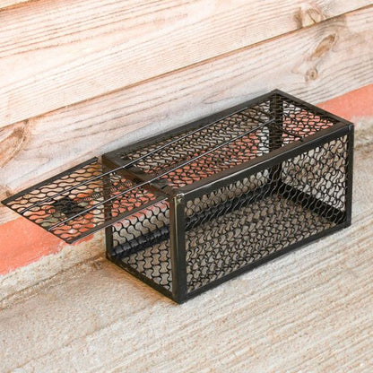 PIEGE A SOURIS LE PLUS EFFICACE​