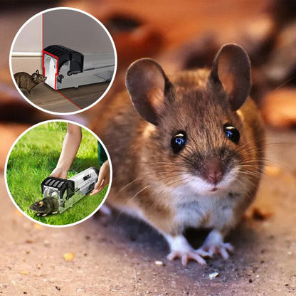 PIEGE A SOURIS NON LETAL​