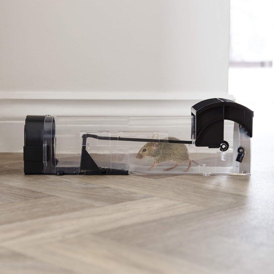 piege a souris vivante​