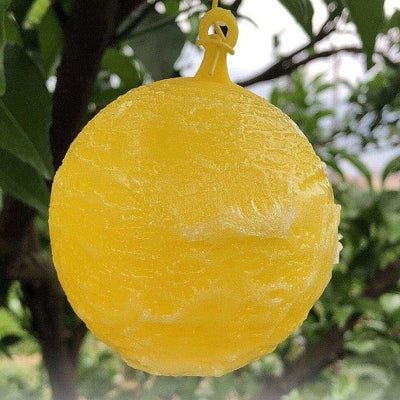 Piège anti mouches - AltoMouche - boule jaune autocollante