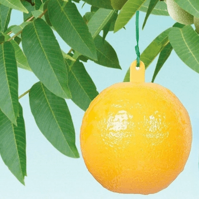 Piège anti mouches - boule jaune autocollante - piège efficace