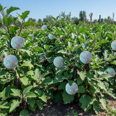 REPULSIF OISEAUX SANS PRODUITS CHIMIQUES