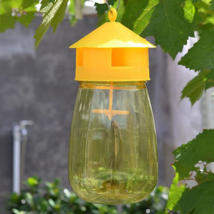 Piège à mouche Jaune en situation