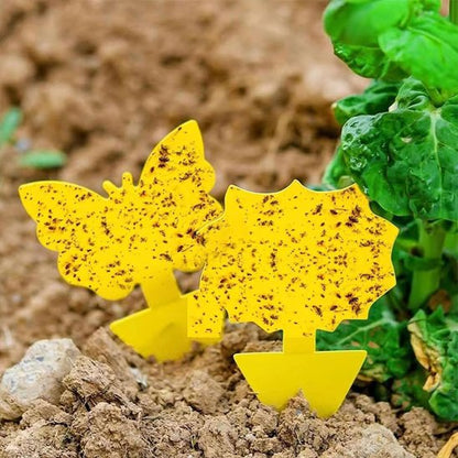 PIEGE A MOUCHE - AltoMouche™ Déco Autocollant 