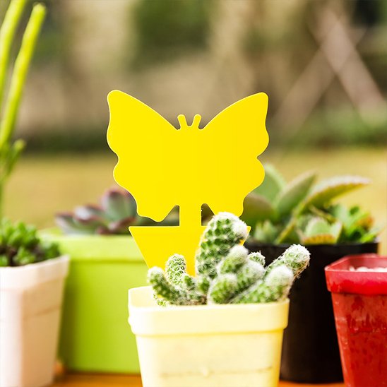 PIEGE A MOUCHE - AltoMouche™ Déco Autocollant papillon