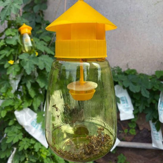 Piège à mouche - AltoMouche™ Jaune efficace