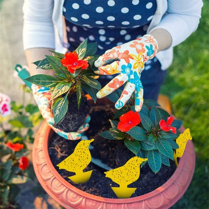 PIEGE A MOUCHE - AltoMouche™ Déco Autocollant oiseaux