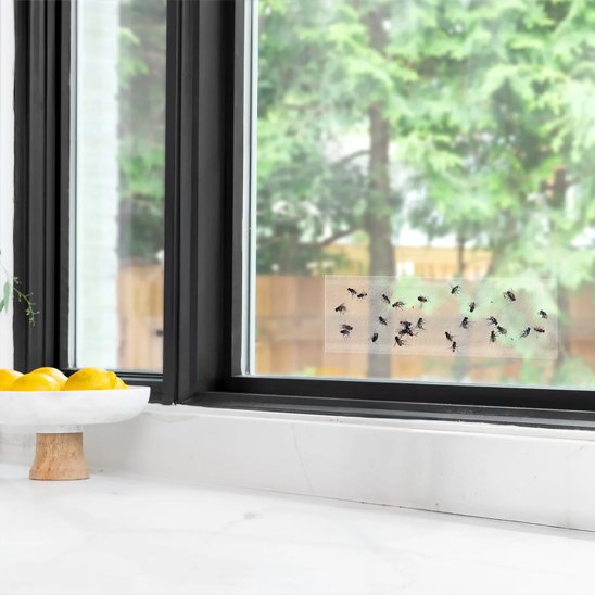 PIEGE A MOUCHE Autocollant