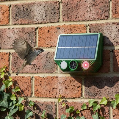Répulsif à oiseaux à détection automatique
