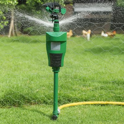 Répulsif à oiseaux à jet d'eau